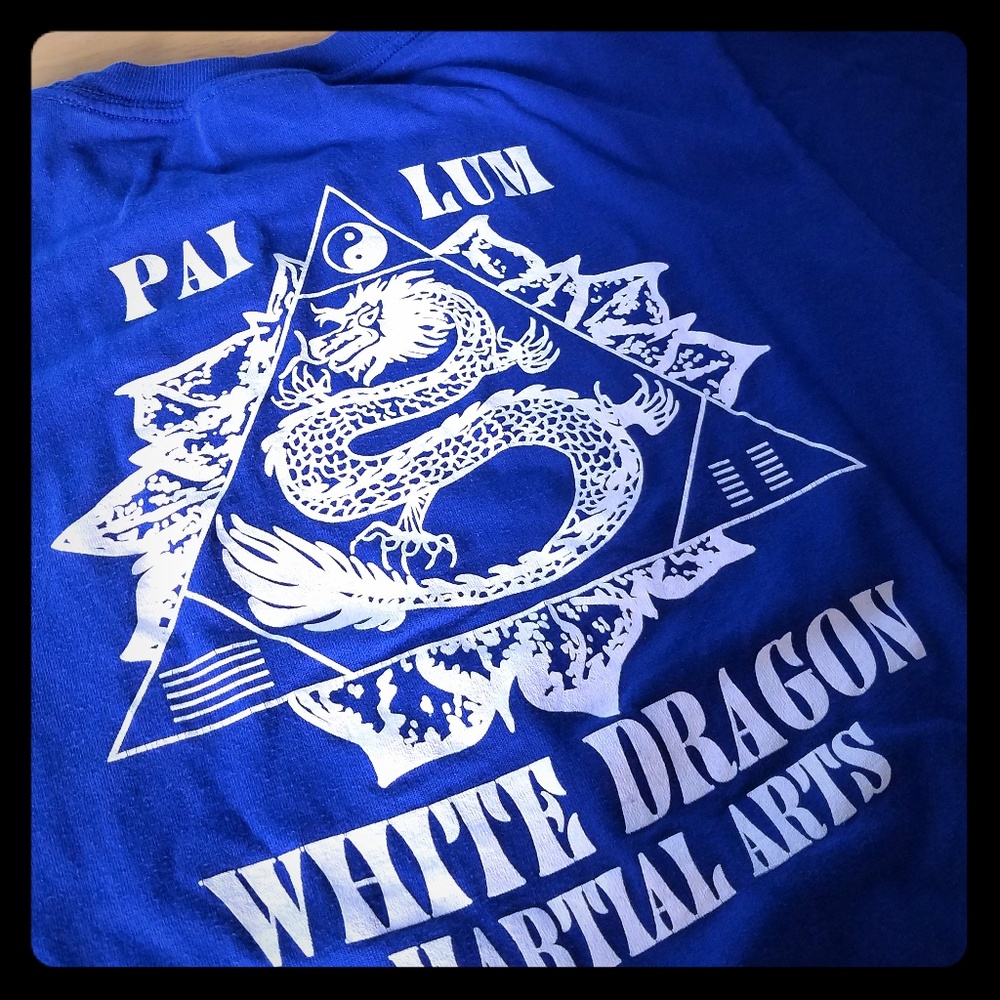 Vintage Martial Arts Kung Fu T-shirt